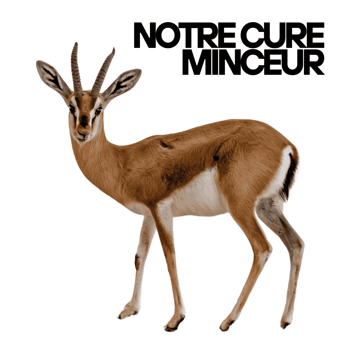 cure minceur gazelle